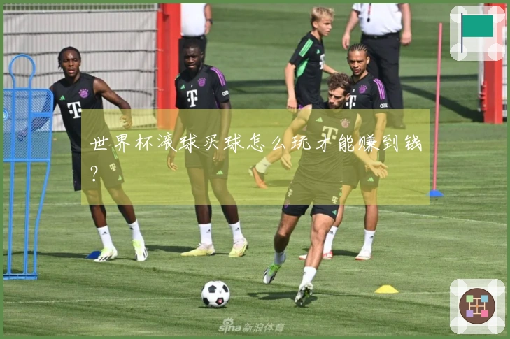 世界杯滚球买球怎么玩才能赚到钱？
