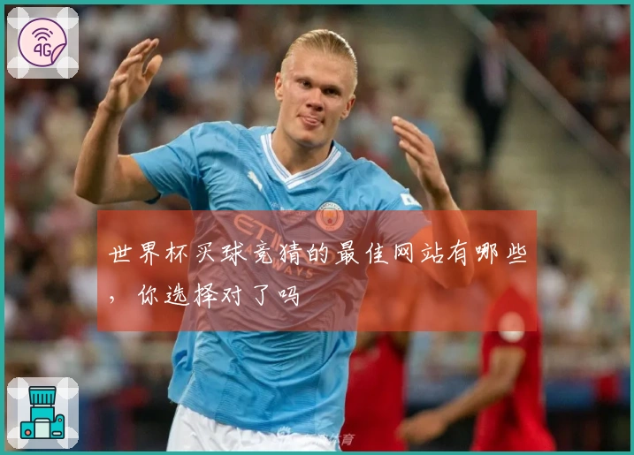 世界杯买球竞猜的最佳网站有哪些，你选择对了吗