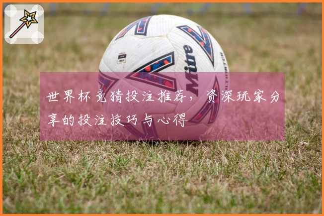 世界杯竞猜投注推荐，资深玩家分享的投注技巧与心得