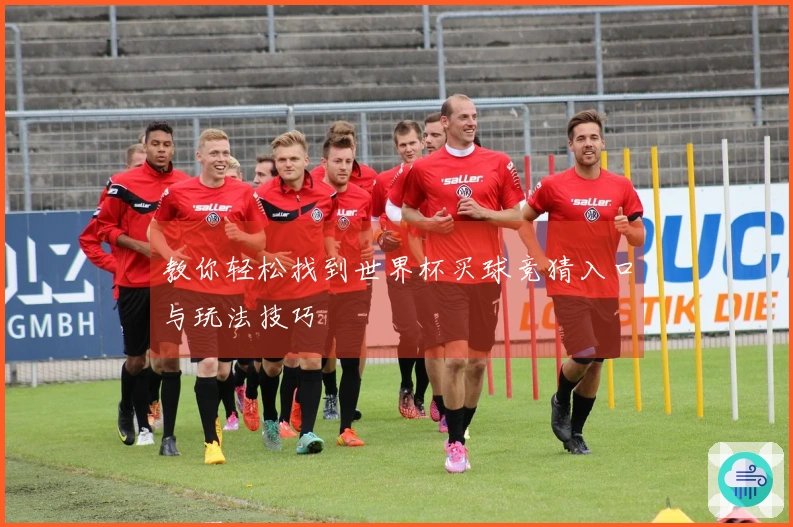 教你轻松找到世界杯买球竞猜入口与玩法技巧