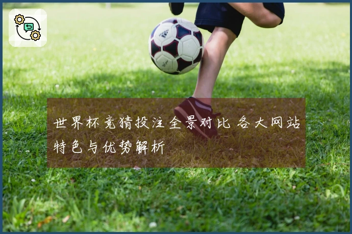 世界杯竞猜投注全景对比 各大网站特色与优势解析