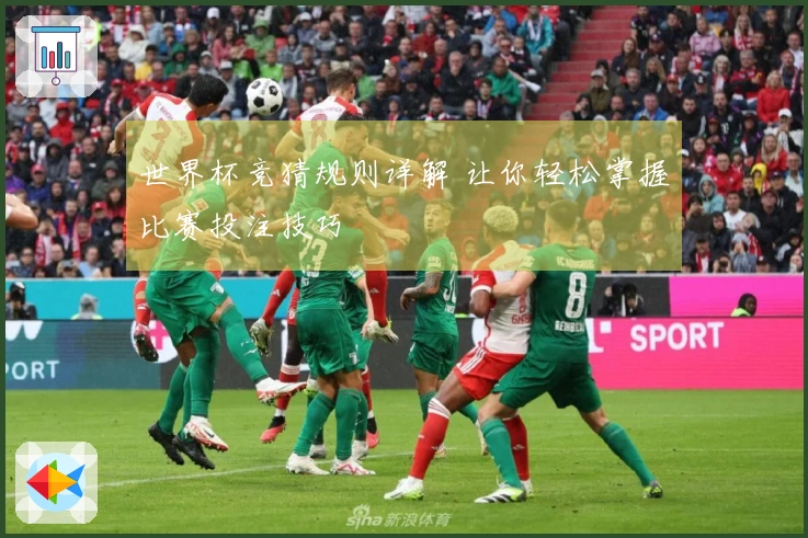 世界杯竞猜规则详解 让你轻松掌握比赛投注技巧