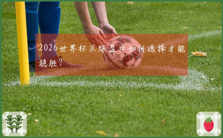 2026世界杯买球盘口如何选择才能稳胜？