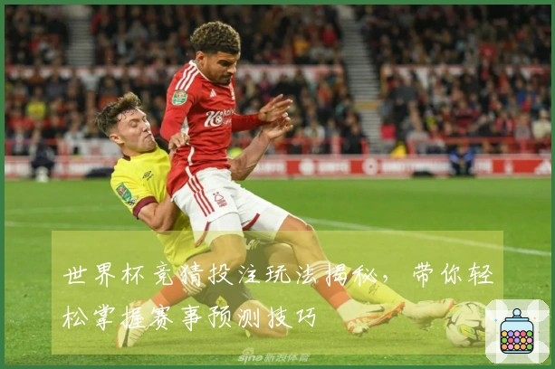 世界杯竞猜投注玩法揭秘，带你轻松掌握赛事预测技巧