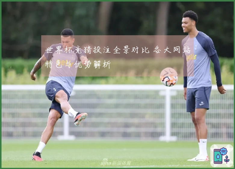 世界杯竞猜投注全景对比 各大网站特色与优势解析