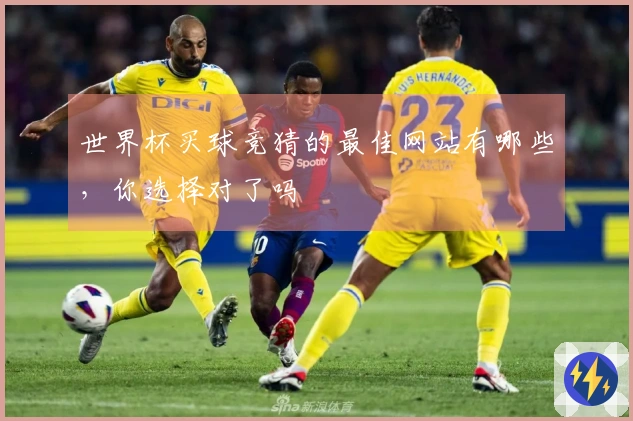 世界杯买球竞猜的最佳网站有哪些，你选择对了吗