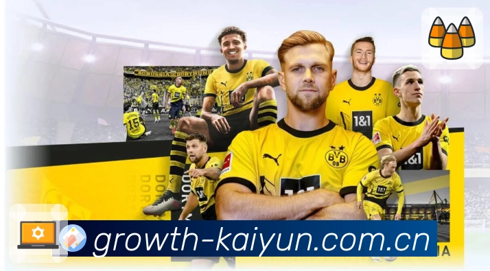 开云资料库加速